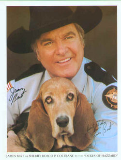 Flash from Dukes of Hazzard - This was the laziest bassett hound in the world, matched only by the laziness of Duke in the Beverly Hillbillies. Flash from Dukes of Hazzard - This was the laziest bassett hound in the world, matched only by the laziness of Duke in the Beverly Hillbillies.