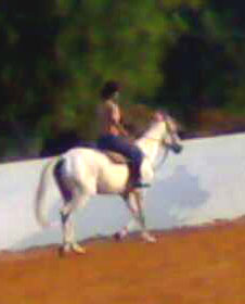 riding - riding