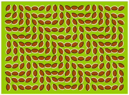 Optical Illusion - Look at the picture and check your ability to handle stress... see also optical illusion 1 and 2 :)