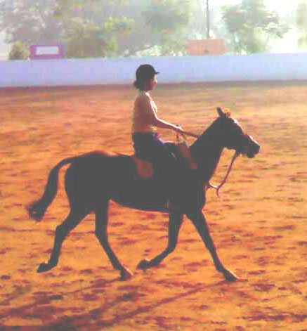 riding - riding