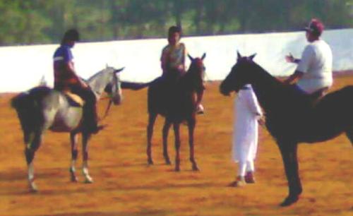 riding - riding