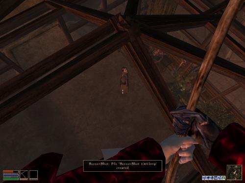 Morrowind Screenshots - Look at these brilliant pictures of my charecters:geldoir and gelodir AND SOME OF MY NEWEST CHARACTER gul du cott. So do you know that uploading morrowind screenshots are the best way to make money on mylot? Well if you want to know go to morrowinds root dictionary find the sentance: Screenshot enable=0. Turn this into Screenshot enable=1. Now this will allow you to be able to make morrowind screenshots! But now we have a problem! MyLot dosn't accept bitmap! Oh no! So go and get a program like irfanview! An you can turn them all into jpegs
