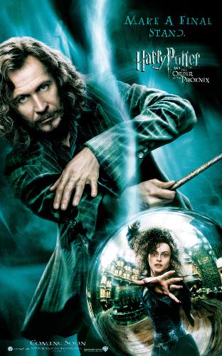 Sirius Black and Bellatrix Lestrange - Bellatrix Lestrange is a cousin of Sirius Black.  I like this 2 characters.