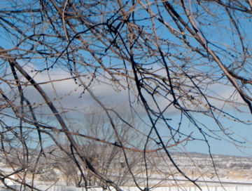 snowy day - beautiful!