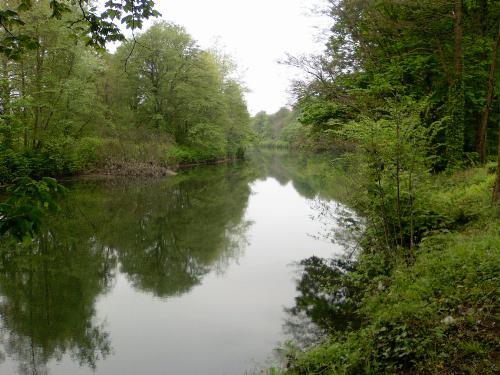 River Taff - This is a shot of the river Taff that I took last week. River Taff - This is a shot of the river Taff that I took last week.