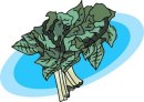 Spinach - Do you eat spinach like Popoye ?