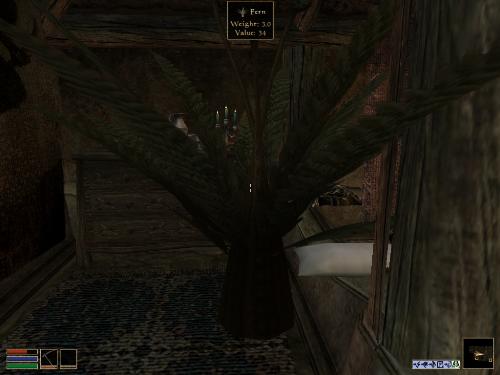 My elder scrolls screenshots - Look at these brilliant pictures of my charecters:geldoir and gelodir AND SOME OF MY NEWEST CHARACTER gul du cott. So do you know that uploading morrowind screenshots are the best way to make money on mylot? Well if you want to know go to morrowinds root dictionary find the sentance: Screenshot enable=0. Turn this into Screenshot enable=1. Now this will allow you to be able to make morrowind screenshots! But now we have a problem! MyLot dosn't accept bitmap! Oh no! So go and get a program like irfanview! An you can turn them all into jpegs