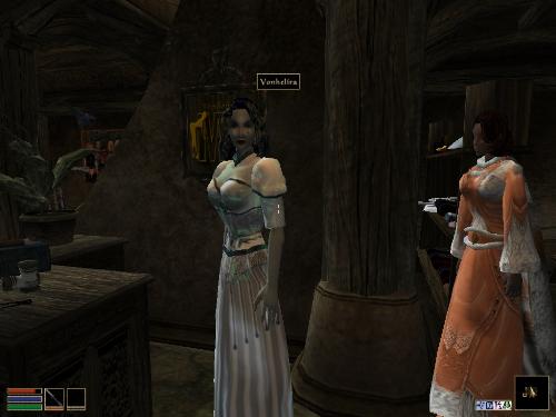 My elder scolls screenshots! - Look at these brilliant pictures of my charecters:geldoir and gelodir AND SOME OF MY NEWEST CHARACTER gul du cott. So do you know that uploading morrowind screenshots are the best way to make money on mylot? Well if you want to know go to morrowinds root dictionary find the sentance: Screenshot enable=0. Turn this into Screenshot enable=1. Now this will allow you to be able to make morrowind screenshots! But now we have a problem! MyLot dosn't accept bitmap! Oh no! So go and get a program like irfanview! An you can turn them all into jpegs