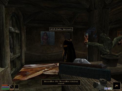 My elder scolls screenshots! - Look at these brilliant pictures of my charecters:geldoir and gelodir AND SOME OF MY NEWEST CHARACTER gul du cott. So do you know that uploading morrowind screenshots are the best way to make money on mylot? Well if you want to know go to morrowinds root dictionary find the sentance: Screenshot enable=0. Turn this into Screenshot enable=1. Now this will allow you to be able to make morrowind screenshots! But now we have a problem! MyLot dosn't accept bitmap! Oh no! So go and get a program like irfanview! An you can turn them all into jpegs