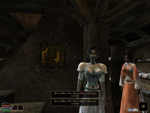My elder scolls screenshots! - Look at these brilliant pictures of my charecters:geldoir and gelodir AND SOME OF MY NEWEST CHARACTER gul du cott. So do you know that uploading morrowind screenshots are the best way to make money on mylot? Well if you want to know go to morrowinds root dictionary find the sentance: Screenshot enable=0. Turn this into Screenshot enable=1. Now this will allow you to be able to make morrowind screenshots! But now we have a problem! MyLot dosn't accept bitmap! Oh no! So go and get a program like irfanview! An you can turn them all into jpegs!