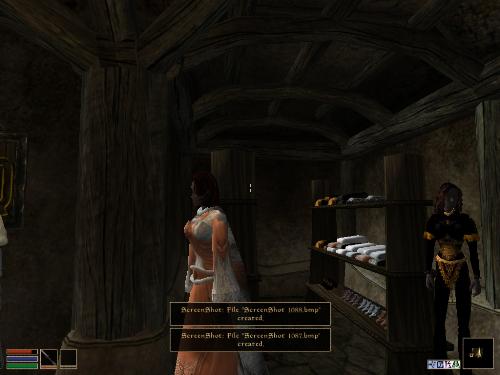 My elder scolls screenshots! - Look at these brilliant pictures of my charecters:geldoir and gelodir AND SOME OF MY NEWEST CHARACTER gul du cott. So do you know that uploading morrowind screenshots are the best way to make money on mylot? Well if you want to know go to morrowinds root dictionary find the sentance: Screenshot enable=0. Turn this into Screenshot enable=1. Now this will allow you to be able to make morrowind screenshots! But now we have a problem! MyLot dosn't accept bitmap! Oh no! So go and get a program like irfanview! An you can turn them all into jpegs!