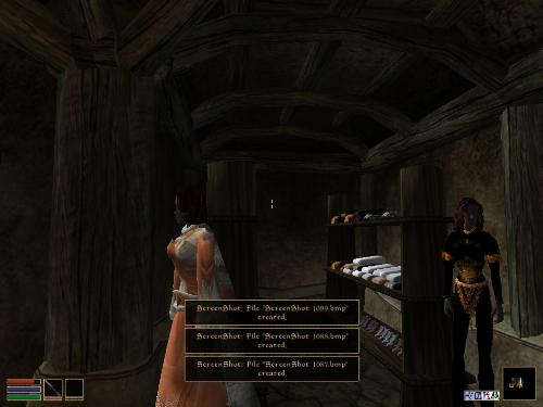 My elder scolls screenshots! - Look at these brilliant pictures of my charecters:geldoir and gelodir AND SOME OF MY NEWEST CHARACTER gul du cott. So do you know that uploading morrowind screenshots are the best way to make money on mylot? Well if you want to know go to morrowinds root dictionary find the sentance: Screenshot enable=0. Turn this into Screenshot enable=1. Now this will allow you to be able to make morrowind screenshots! But now we have a problem! MyLot dosn't accept bitmap! Oh no! So go and get a program like irfanview! An you can turn them all into jpegs!