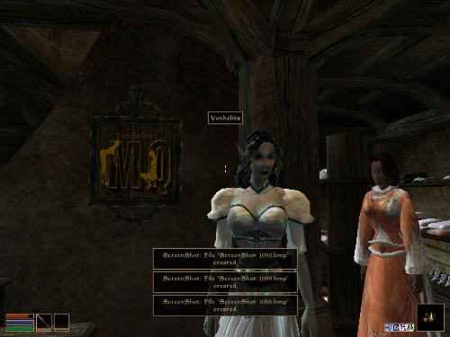 My elder scolls screenshots! - Look at these brilliant pictures of my charecters:geldoir and gelodir AND SOME OF MY NEWEST CHARACTER gul du cott. So do you know that uploading morrowind screenshots are the best way to make money on mylot? Well if you want to know go to morrowinds root dictionary find the sentance: Screenshot enable=0. Turn this into Screenshot enable=1. Now this will allow you to be able to make morrowind screenshots! But now we have a problem! MyLot dosn't accept bitmap! Oh no! So go and get a program like irfanview! An you can turn them all into jpegs!