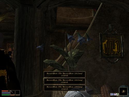 My elder scolls screenshots! - Look at these brilliant pictures of my charecters:geldoir and gelodir AND SOME OF MY NEWEST CHARACTER gul du cott. So do you know that uploading morrowind screenshots are the best way to make money on mylot? Well if you want to know go to morrowinds root dictionary find the sentance: Screenshot enable=0. Turn this into Screenshot enable=1. Now this will allow you to be able to make morrowind screenshots! But now we have a problem! MyLot dosn't accept bitmap! Oh no! So go and get a program like irfanview! An you can turn them all into jpegs!