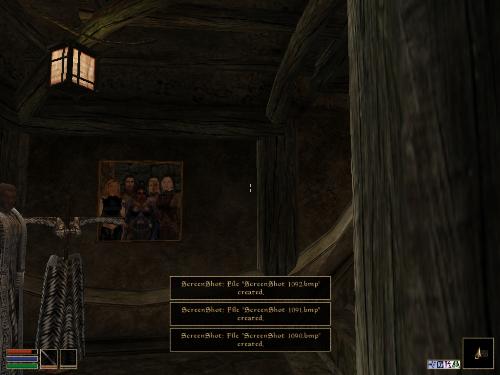 My elder scolls screenshots! - Look at these brilliant pictures of my charecters:geldoir and gelodir AND SOME OF MY NEWEST CHARACTER gul du cott. So do you know that uploading morrowind screenshots are the best way to make money on mylot? Well if you want to know go to morrowinds root dictionary find the sentance: Screenshot enable=0. Turn this into Screenshot enable=1. Now this will allow you to be able to make morrowind screenshots! But now we have a problem! MyLot dosn't accept bitmap! Oh no! So go and get a program like irfanview! An you can turn them all into jpegs!