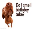 Birthday Dog - Thought this was cute to go along with my discussion on Dave&#039;s birthday