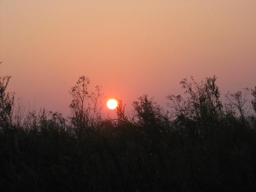 sunset - a picture of a sunset
