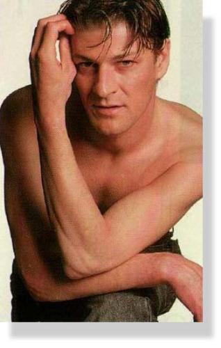 Sean Bean - Sean Bean - an accomplished English film and stage actor