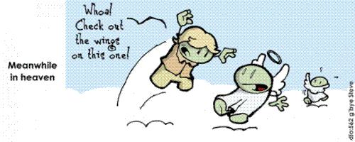 steve irwin cartoon - funny, but bittersweet cartoon about steve irwin