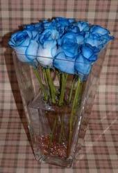 bluerose - bluerose