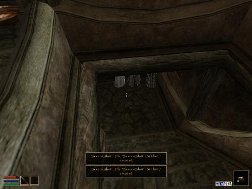 Morrowind Shots - Look at these brilliant pictures of my charecters:geldoir and gelodir AND SOME OF MY NEWEST CHARACTER gul du cott. So do you know that uploading morrowind screenshots are the best way to make money on mylot? Well if you want to know go to morrowinds root dictionary find the sentance: Screenshot enable=0. Turn this into Screenshot enable=1. Now this will allow you to be able to make morrowind screenshots! But now we have a problem! MyLot dosn't accept bitmap! Oh no! So go and get a program like irfanview! An you can turn them all into jpegs!