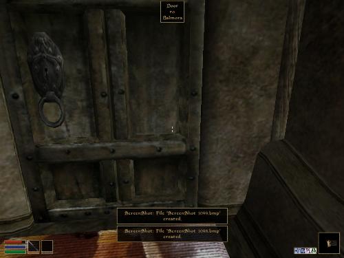 Morrowind Shots - Look at these brilliant pictures of my charecters:geldoir and gelodir AND SOME OF MY NEWEST CHARACTER gul du cott. So do you know that uploading morrowind screenshots are the best way to make money on mylot? Well if you want to know go to morrowinds root dictionary find the sentance: Screenshot enable=0. Turn this into Screenshot enable=1. Now this will allow you to be able to make morrowind screenshots! But now we have a problem! MyLot dosn't accept bitmap! Oh no! So go and get a program like irfanview! An you can turn them all into jpegs!