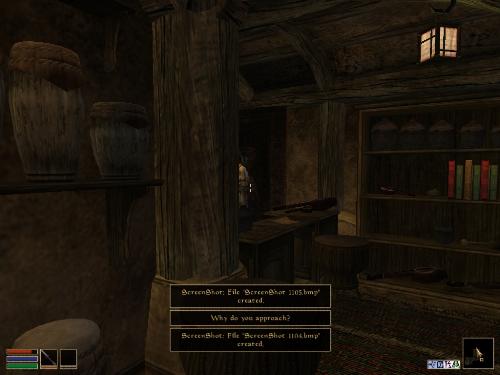 Morrowind Shots - Look at these brilliant pictures of my charecters:geldoir and gelodir AND SOME OF MY NEWEST CHARACTER gul du cott. So do you know that uploading morrowind screenshots are the best way to make money on mylot? Well if you want to know go to morrowinds root dictionary find the sentance: Screenshot enable=0. Turn this into Screenshot enable=1. Now this will allow you to be able to make morrowind screenshots! But now we have a problem! MyLot dosn't accept bitmap! Oh no! So go and get a program like irfanview! An you can turn them all into jpegs!