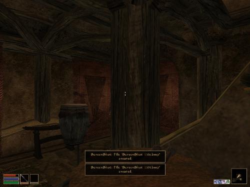 Morrowind Shots - Look at these brilliant pictures of my charecters:geldoir and gelodir AND SOME OF MY NEWEST CHARACTER gul du cott. So do you know that uploading morrowind screenshots are the best way to make money on mylot? Well if you want to know go to morrowinds root dictionary find the sentance: Screenshot enable=0. Turn this into Screenshot enable=1. Now this will allow you to be able to make morrowind screenshots! But now we have a problem! MyLot dosn't accept bitmap! Oh no! So go and get a program like irfanview! An you can turn them all into jpegs!