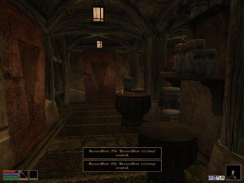 Morrowind Shots - Look at these brilliant pictures of my charecters:geldoir and gelodir AND SOME OF MY NEWEST CHARACTER gul du cott. So do you know that uploading morrowind screenshots are the best way to make money on mylot? Well if you want to know go to morrowinds root dictionary find the sentance: Screenshot enable=0. Turn this into Screenshot enable=1. Now this will allow you to be able to make morrowind screenshots! But now we have a problem! MyLot dosn't accept bitmap! Oh no! So go and get a program like irfanview! An you can turn them all into jpegs!