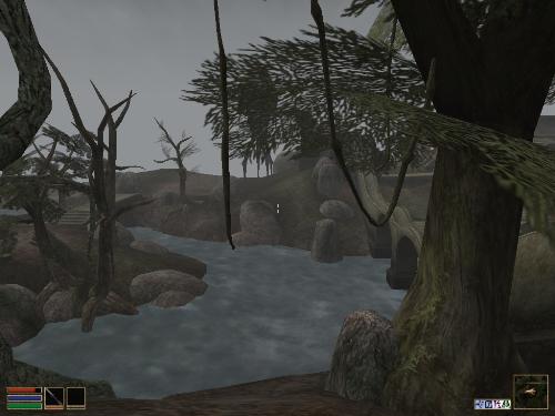 Morrowind Shots - Look at these brilliant pictures of my charecters:geldoir and gelodir AND SOME OF MY NEWEST CHARACTER gul du cott. So do you know that uploading morrowind screenshots are the best way to make money on mylot? Well if you want to know go to morrowinds root dictionary find the sentance: Screenshot enable=0. Turn this into Screenshot enable=1. Now this will allow you to be able to make morrowind screenshots! But now we have a problem! MyLot dosn't accept bitmap! Oh no! So go and get a program like irfanview! An you can turn them all into jpegs!
