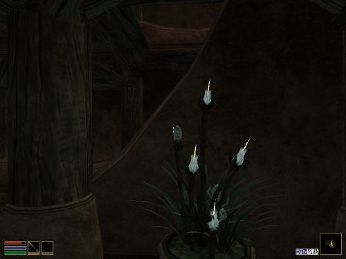 Morrowind Shots - Look at these brilliant pictures of my charecters:geldoir and gelodir AND SOME OF MY NEWEST CHARACTER gul du cott. So do you know that uploading morrowind screenshots are the best way to make money on mylot? Well if you want to know go to morrowinds root dictionary find the sentance: Screenshot enable=0. Turn this into Screenshot enable=1. Now this will allow you to be able to make morrowind screenshots! But now we have a problem! MyLot dosn't accept bitmap! Oh no! So go and get a program like irfanview! An you can turn them all into jpegs!