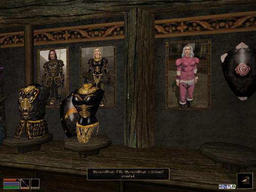 Morrowind Shots - Look at these brilliant pictures of my charecters:geldoir and gelodir AND SOME OF MY NEWEST CHARACTER gul du cott. So do you know that uploading morrowind screenshots are the best way to make money on mylot? Well if you want to know go to morrowinds root dictionary find the sentance: Screenshot enable=0. Turn this into Screenshot enable=1. Now this will allow you to be able to make morrowind screenshots! But now we have a problem! MyLot dosn't accept bitmap! Oh no! So go and get a program like irfanview! An you can turn them all into jpegs!