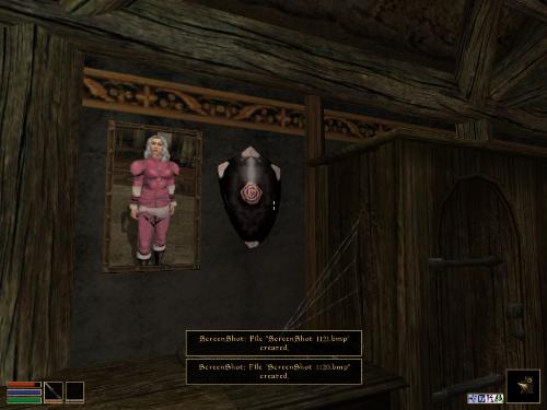 Morrowind Shots - Look at these brilliant pictures of my charecters:geldoir and gelodir AND SOME OF MY NEWEST CHARACTER gul du cott. So do you know that uploading morrowind screenshots are the best way to make money on mylot? Well if you want to know go to morrowinds root dictionary find the sentance: Screenshot enable=0. Turn this into Screenshot enable=1. Now this will allow you to be able to make morrowind screenshots! But now we have a problem! MyLot dosn't accept bitmap! Oh no! So go and get a program like irfanview! An you can turn them all into jpegs!
