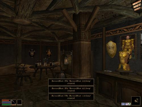 Morrowind Shots - Look at these brilliant pictures of my charecters:geldoir and gelodir AND SOME OF MY NEWEST CHARACTER gul du cott. So do you know that uploading morrowind screenshots are the best way to make money on mylot? Well if you want to know go to morrowinds root dictionary find the sentance: Screenshot enable=0. Turn this into Screenshot enable=1. Now this will allow you to be able to make morrowind screenshots! But now we have a problem! MyLot dosn't accept bitmap! Oh no! So go and get a program like irfanview! An you can turn them all into jpegs!