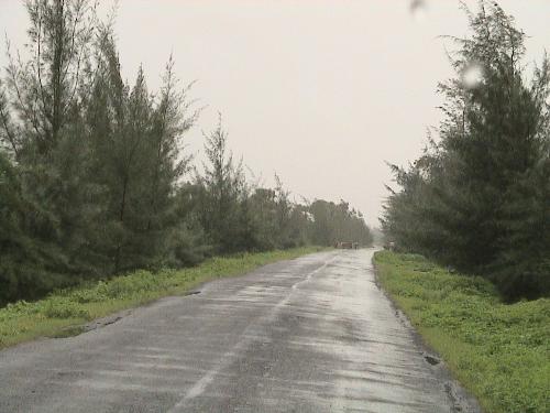 nature - well i took this pic when i went to visit a place called dhanu