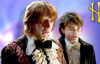 harry potter - harry and ron