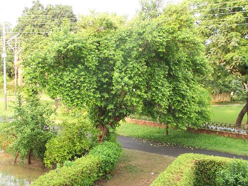 Feel Fresh - Feel The freshness within the heart