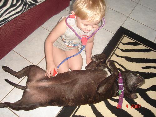My son and staffy playing Doctors... - My son and staffy playing Doctors... one of my favorite photos