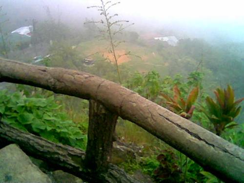 Mines View Park - Mines View Park is a tourist spot in Baguio City, Philippines. Overlooking the park is a very peaceful scenery. Makes me feel attuned to nature. To myself. To my spiritual self. It makes me feel one with the Cosmos especially when there are lesser tourists around.   Baguio City, by the way, is dubbed as a the summer capital of the Philippines. Tourists seek it's temperate climate during the summer months in the lowland. Mines View Park is one of the most famous destinations of tourists in Baguio.