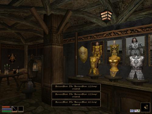 Morrowind - Look at these brilliant pictures of my charecters:geldoir and gelodir AND SOME OF MY NEWEST CHARACTER gul du cott. So do you know that uploading morrowind screenshots are the best way to make money on mylot? Well if you want to know go to morrowinds root dictionary find the sentance: Screenshot enable=0. Turn this into Screenshot enable=1. Now this will allow you to be able to make morrowind screenshots! But now we have a problem! MyLot dosn't accept bitmap! Oh no! So go and get a program like irfanview! An you can turn them all into jpegs!