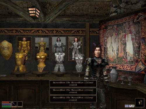 Morrowind - Look at these brilliant pictures of my charecters:geldoir and gelodir AND SOME OF MY NEWEST CHARACTER gul du cott. So do you know that uploading morrowind screenshots are the best way to make money on mylot? Well if you want to know go to morrowinds root dictionary find the sentance: Screenshot enable=0. Turn this into Screenshot enable=1. Now this will allow you to be able to make morrowind screenshots! But now we have a problem! MyLot dosn't accept bitmap! Oh no! So go and get a program like irfanview! An you can turn them all into jpegs!