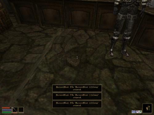 Morrowind - Look at these brilliant pictures of my charecters:geldoir and gelodir AND SOME OF MY NEWEST CHARACTER gul du cott. So do you know that uploading morrowind screenshots are the best way to make money on mylot? Well if you want to know go to morrowinds root dictionary find the sentance: Screenshot enable=0. Turn this into Screenshot enable=1. Now this will allow you to be able to make morrowind screenshots! But now we have a problem! MyLot dosn't accept bitmap! Oh no! So go and get a program like irfanview! An you can turn them all into jpegs!