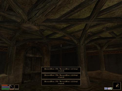Morrowind - Look at these brilliant pictures of my charecters:geldoir and gelodir AND SOME OF MY NEWEST CHARACTER gul du cott. So do you know that uploading morrowind screenshots are the best way to make money on mylot? Well if you want to know go to morrowinds root dictionary find the sentance: Screenshot enable=0. Turn this into Screenshot enable=1. Now this will allow you to be able to make morrowind screenshots! But now we have a problem! MyLot dosn't accept bitmap! Oh no! So go and get a program like irfanview! An you can turn them all into jpegs!