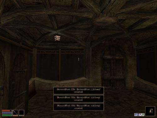 Morrowind - Look at these brilliant pictures of my charecters:geldoir and gelodir AND SOME OF MY NEWEST CHARACTER gul du cott. So do you know that uploading morrowind screenshots are the best way to make money on mylot? Well if you want to know go to morrowinds root dictionary find the sentance: Screenshot enable=0. Turn this into Screenshot enable=1. Now this will allow you to be able to make morrowind screenshots! But now we have a problem! MyLot dosn't accept bitmap! Oh no! So go and get a program like irfanview! An you can turn them all into jpegs!