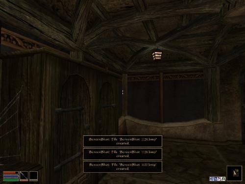 Morrowind - Look at these brilliant pictures of my charecters:geldoir and gelodir AND SOME OF MY NEWEST CHARACTER gul du cott. So do you know that uploading morrowind screenshots are the best way to make money on mylot? Well if you want to know go to morrowinds root dictionary find the sentance: Screenshot enable=0. Turn this into Screenshot enable=1. Now this will allow you to be able to make morrowind screenshots! But now we have a problem! MyLot dosn't accept bitmap! Oh no! So go and get a program like irfanview! An you can turn them all into jpegs!