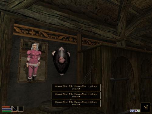 Morrowind - Look at these brilliant pictures of my charecters:geldoir and gelodir AND SOME OF MY NEWEST CHARACTER gul du cott. So do you know that uploading morrowind screenshots are the best way to make money on mylot? Well if you want to know go to morrowinds root dictionary find the sentance: Screenshot enable=0. Turn this into Screenshot enable=1. Now this will allow you to be able to make morrowind screenshots! But now we have a problem! MyLot dosn't accept bitmap! Oh no! So go and get a program like irfanview! An you can turn them all into jpegs!
