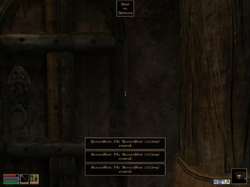 Morrowind - Look at these brilliant pictures of my charecters:geldoir and gelodir AND SOME OF MY NEWEST CHARACTER gul du cott. So do you know that uploading morrowind screenshots are the best way to make money on mylot? Well if you want to know go to morrowinds root dictionary find the sentance: Screenshot enable=0. Turn this into Screenshot enable=1. Now this will allow you to be able to make morrowind screenshots! But now we have a problem! MyLot dosn't accept bitmap! Oh no! So go and get a program like irfanview! An you can turn them all into jpegs!