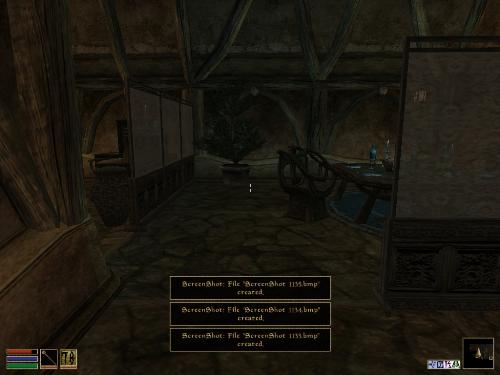 Morrowind - Look at these brilliant pictures of my charecters:geldoir and gelodir AND SOME OF MY NEWEST CHARACTER gul du cott. So do you know that uploading morrowind screenshots are the best way to make money on mylot? Well if you want to know go to morrowinds root dictionary find the sentance: Screenshot enable=0. Turn this into Screenshot enable=1. Now this will allow you to be able to make morrowind screenshots! But now we have a problem! MyLot dosn't accept bitmap! Oh no! So go and get a program like irfanview! An you can turn them all into jpegs!