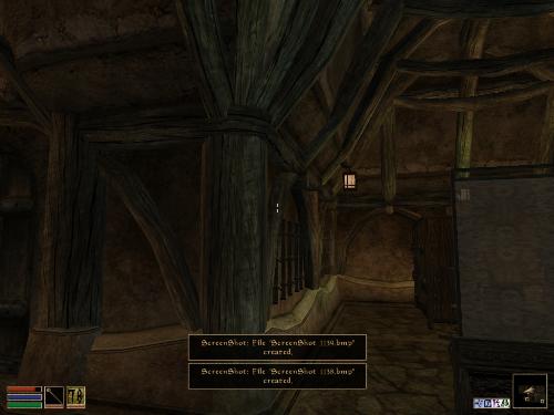 Morrowind - Look at these brilliant pictures of my charecters:geldoir and gelodir AND SOME OF MY NEWEST CHARACTER gul du cott. So do you know that uploading morrowind screenshots are the best way to make money on mylot? Well if you want to know go to morrowinds root dictionary find the sentance: Screenshot enable=0. Turn this into Screenshot enable=1. Now this will allow you to be able to make morrowind screenshots! But now we have a problem! MyLot dosn't accept bitmap! Oh no! So go and get a program like irfanview! An you can turn them all into jpegs!
