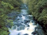 North Carolina - Peaceful sounds of clean water flows